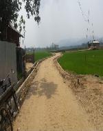 20161018_162449 (808) - Copy (Custom)